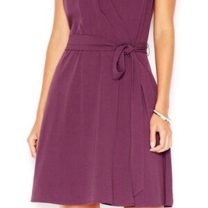 Maison Jules Plum Midi Dress